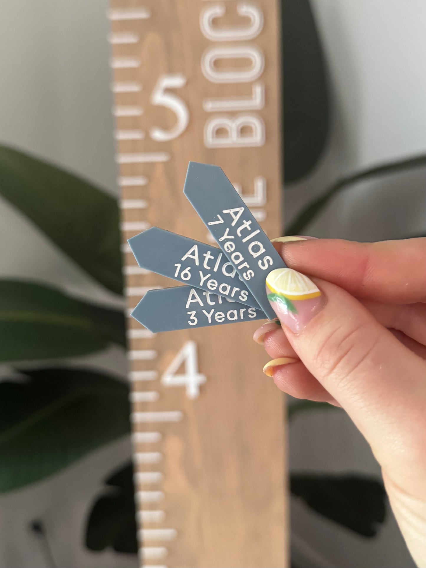 Growth Ruler Markers (Newborn-18 Years)