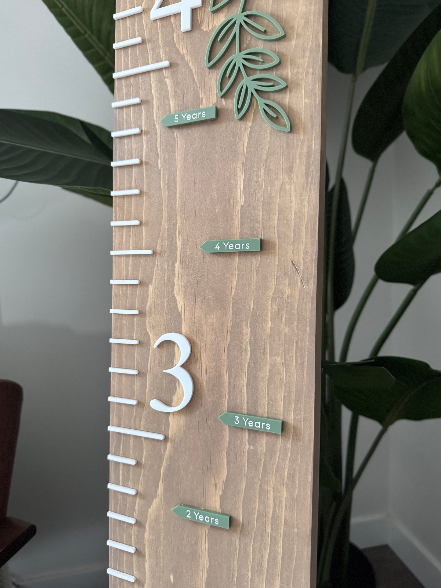 Growth Ruler Markers (Newborn-18 Years)