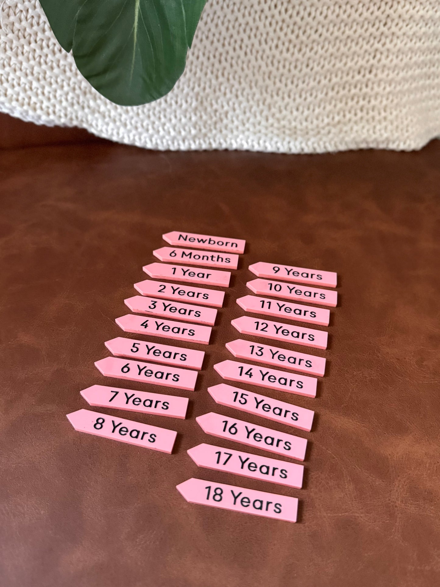 Growth Ruler - Height Markers (Newborn-18 Years)