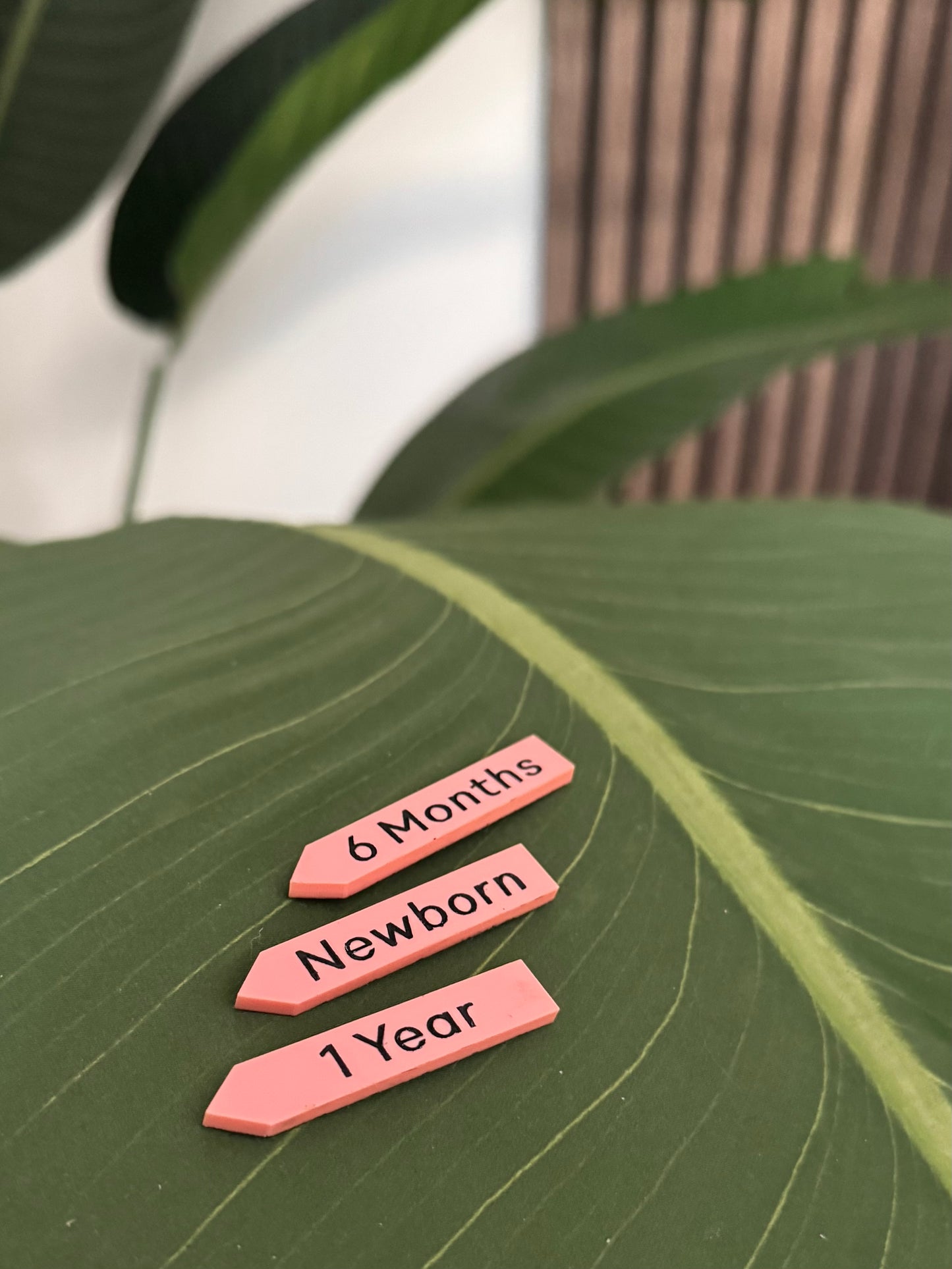 Growth Ruler - Height Markers (Newborn-18 Years)