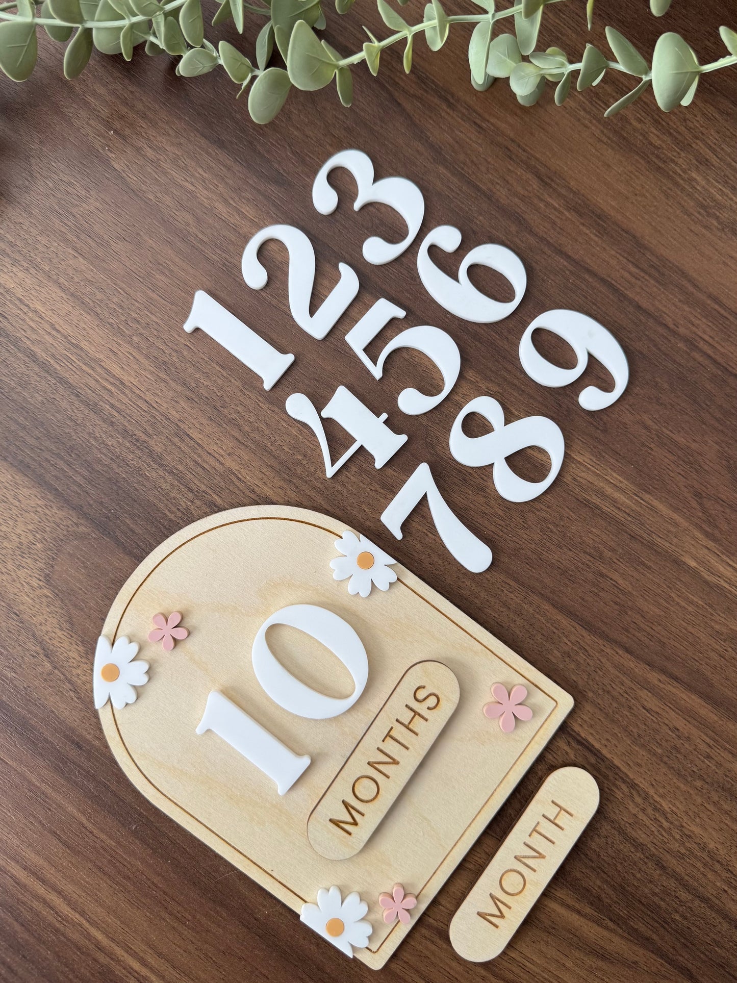 Newborn Milestone - Daisy