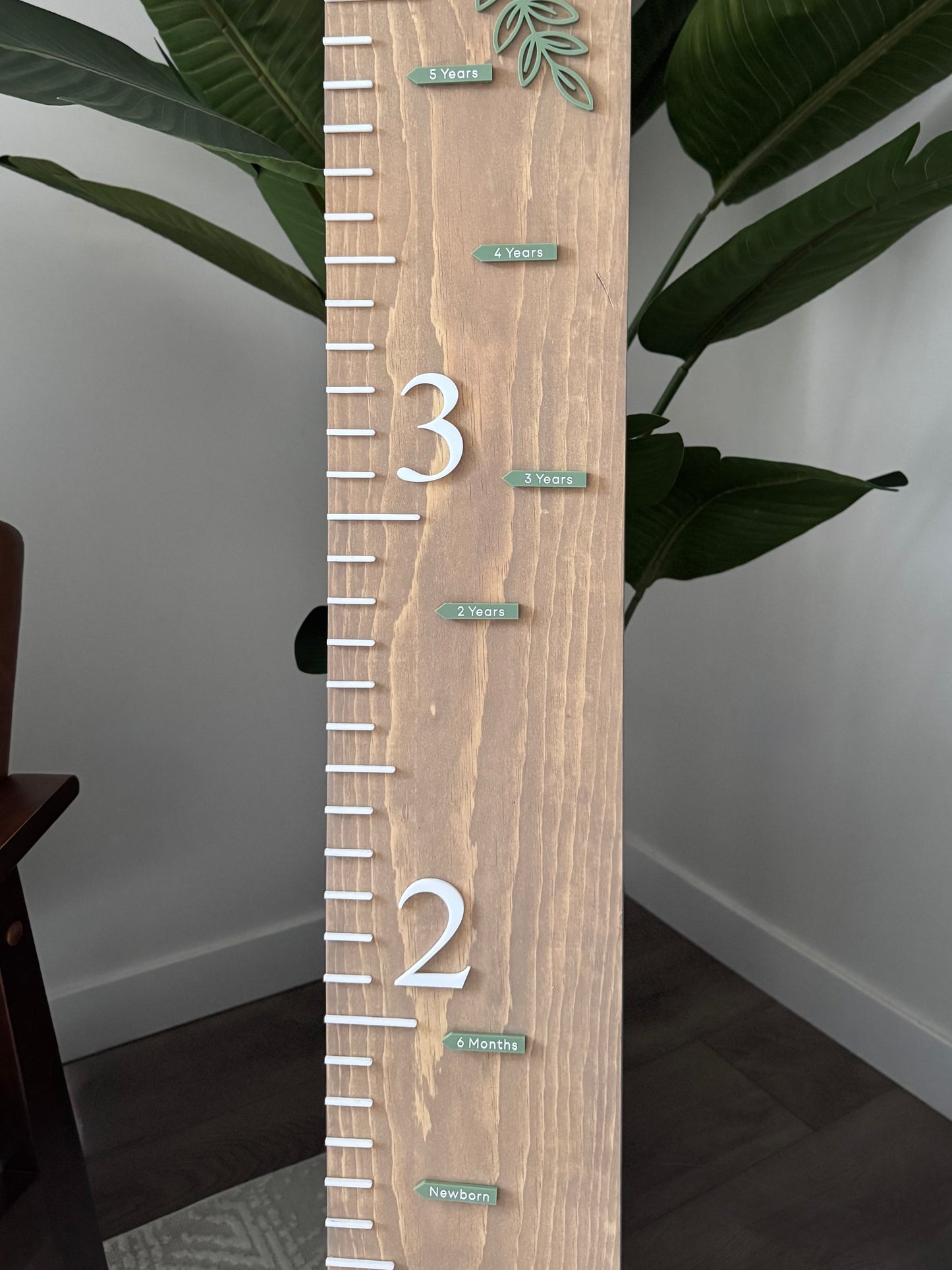 Growth Ruler Markers (Newborn-18 Years)