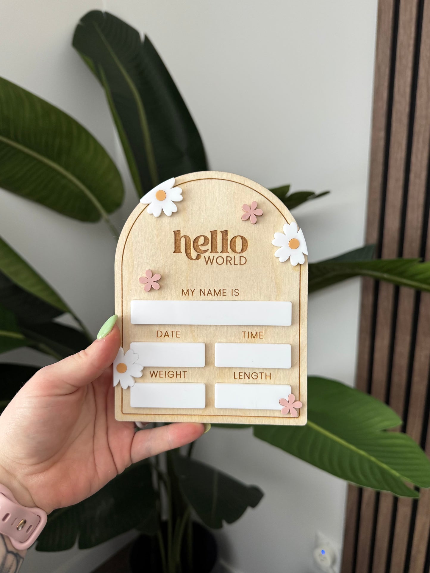 Newborn Announcement - Daisy